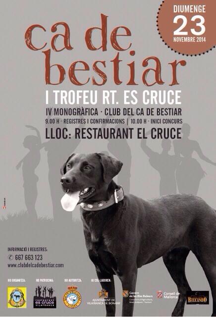 Trofeu Es Cruce